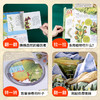 【青葫芦】那么大！立体书：植物 3-8岁 儿童3d立体书 商品缩略图4