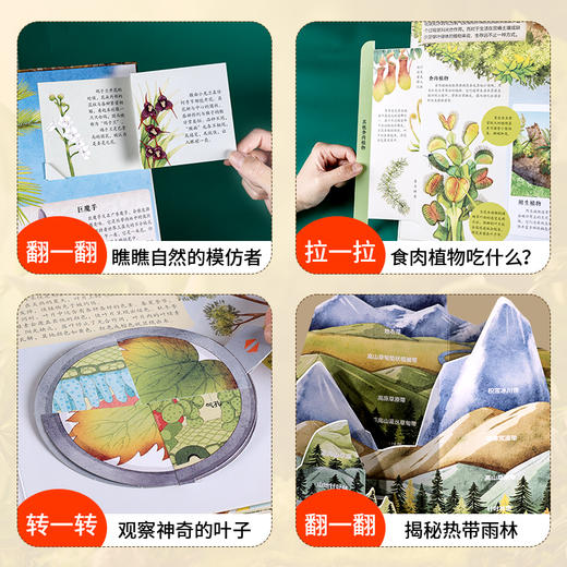 【青葫芦】那么大！立体书：植物 3-8岁 儿童3d立体书 商品图4