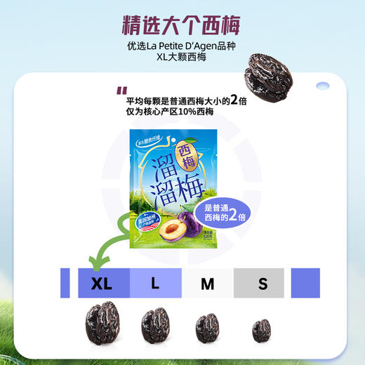 溜溜梅120g优选装西梅×3 商品图2