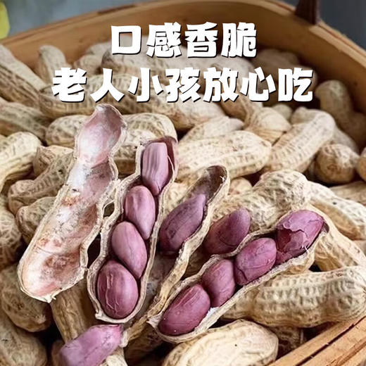 真“香”推荐！天鲜萌2025年头茬福建龙岩湿烤花生 218g/袋 商品图4