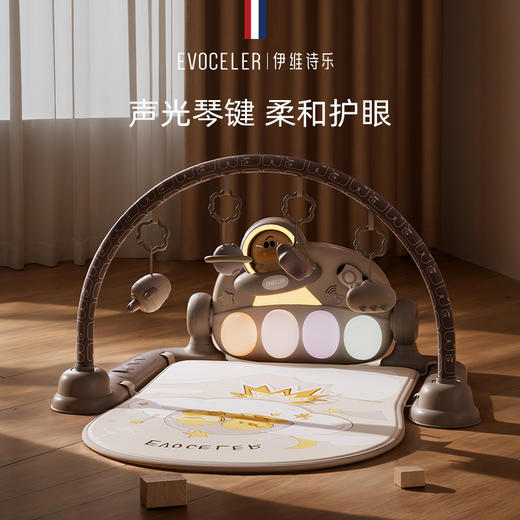 伊维诗乐健身架 商品图7