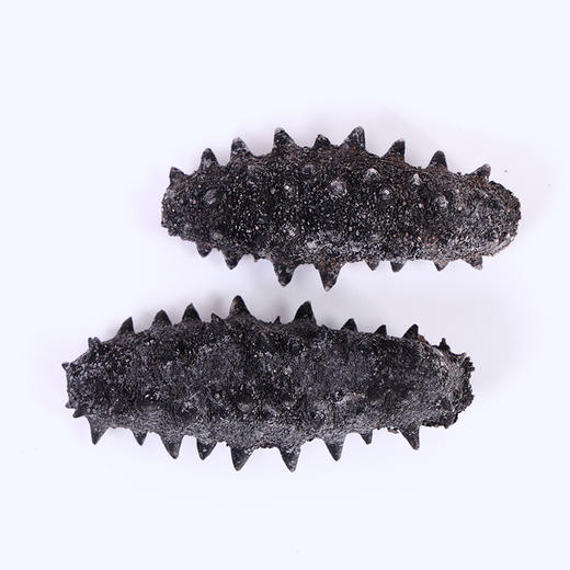 星龙港大连干海参礼盒福寿双全*80g 商品图2