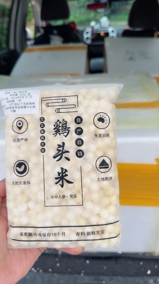 2025新鲜鸡头米 芡实 冰鲜冷链  顺丰江浙沪包邮 偏远地区需要加10元 商品图5