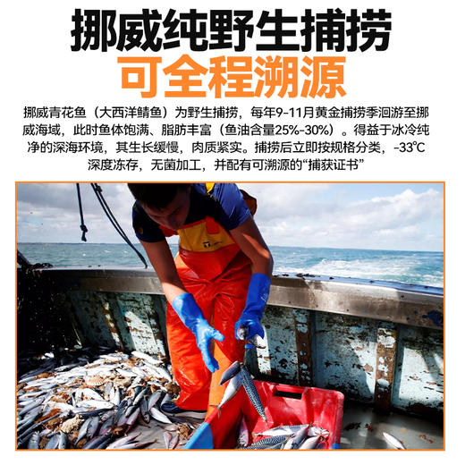 挪威薄盐青花鱼片 商品图3