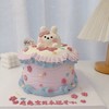 多款~小兔兔集合~卡通蛋糕-低糖处理无添加 商品缩略图10