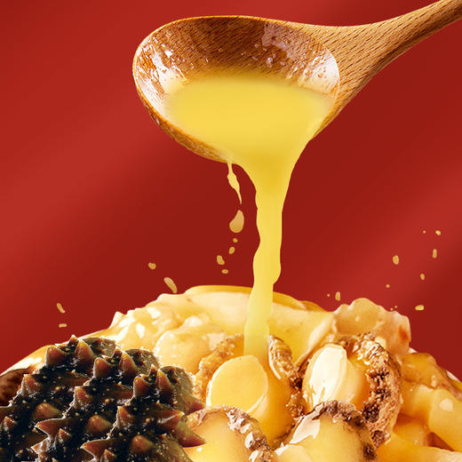 星龙港冷冻佛跳墙礼盒金砖辽参款260g*10盒 商品图5