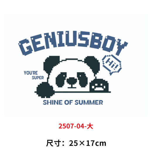 白墨烫画贴小熊猫天才宝贝印花贴新款DIY热转印熨斗烫图2025 商品图0
