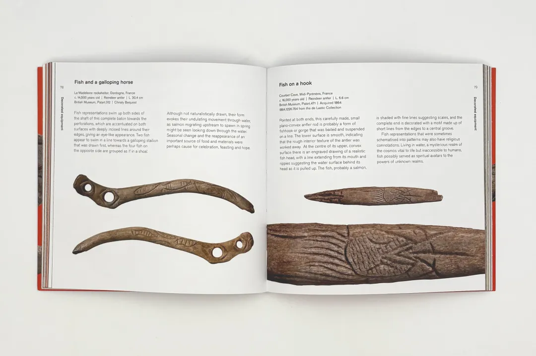 冰河时代 内页3.png