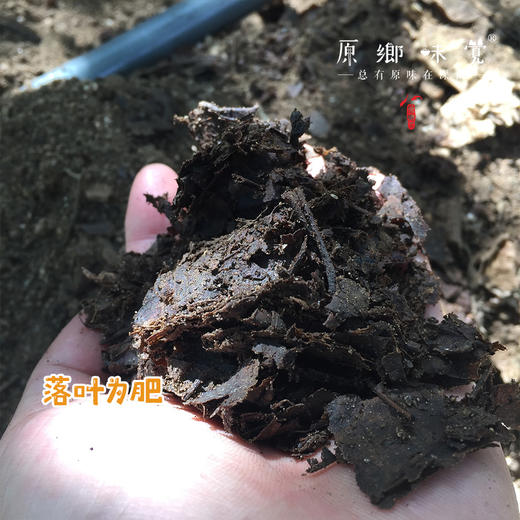 【每周二周五发货】怀柔生态鲜板栗/速冻板栗仁（基地直发-申通包邮） | 多种规格，来自北京怀柔，生产者：王秀亮【合作生产，公平贸易】 商品图1