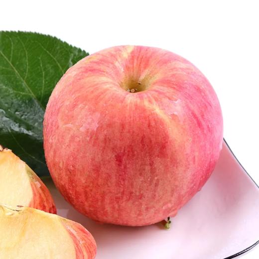 【源头直发】山东烟台红富士苹果 肉厚多汁 顺丰包邮  YM 商品图1