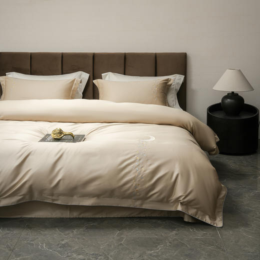 月神赐福-香槟金 商品图3