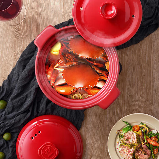 西屋Westinghouse-陶瓷锅WTG451 商品图4