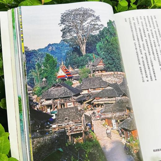 《读者欣赏》杂志 单期/订阅自选 已更新至2025年第6期 美学读本 艺术经典 历史人文 双月刊 每两月更新1期 商品图4