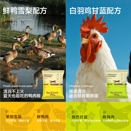 喵铮铮高蛋白冻干夹心全价鲜肉猫粮新人补贴成猫幼猫益生元无谷粮 商品图3