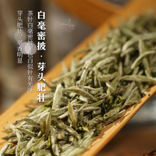 素言茶坊 龙腾四海 只等春风来100g.WN 商品图3