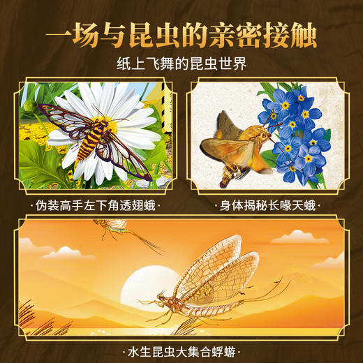 【青葫芦】那么大！立体书：昆虫 3-8岁 儿童3d立体书 商品图4