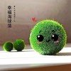 幸福海藻球微景观 3颗 鱼缸生态室内桌面水培创意迷你植物水生绿藻球 商品缩略图3