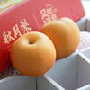 【秋天的第一口清甜 秋月梨】清脆甘甜 汁水丰富 果大肉白 核小无渣 金秋食梨 商品缩略图2