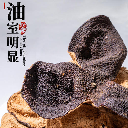 素言茶坊 龙腾四海 享茶时光.WN 商品图4