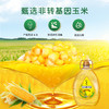 陇间柒月·暮秋坊玉米油1L.WN 商品缩略图2