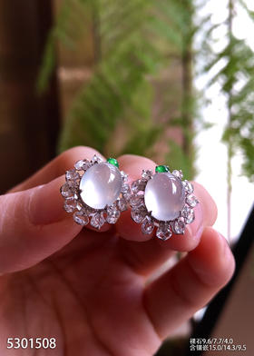 5301508，蛋面耳钉。具体价格微信咨询