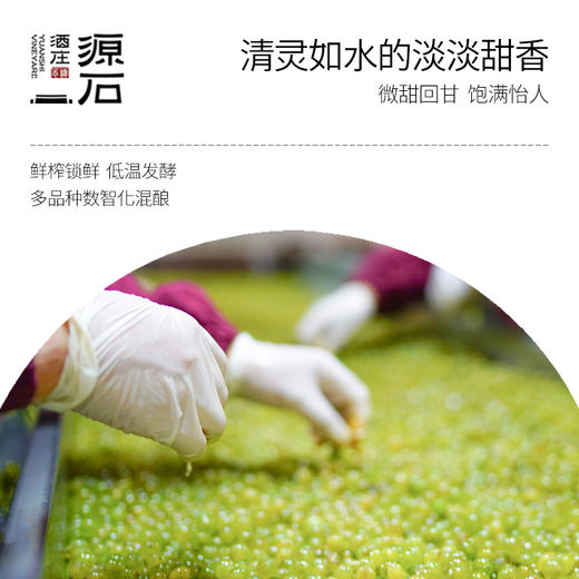 源石禧悦葡萄酒 商品图3