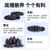 星龙港大连干海参礼盒福寿双全*80g 商品缩略图4