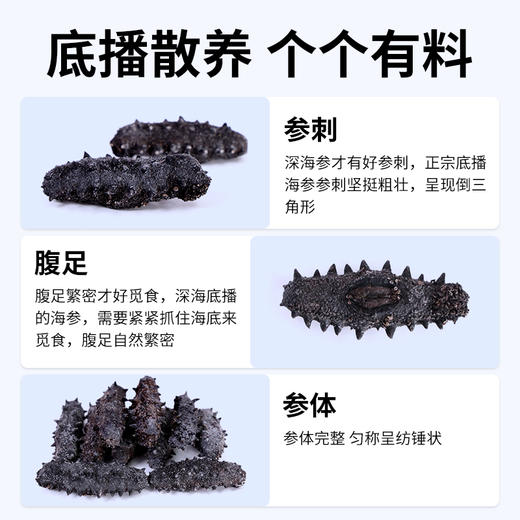 星龙港大连干海参礼盒福寿双全*80g 商品图4