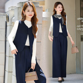 2025年秋装新款气质休闲减龄百搭无袖马甲上衣阔腿裤两件套送丝巾HMQY8262