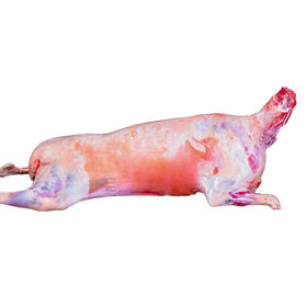 星龙港内蒙原切草原羊肉全羊礼*10kg