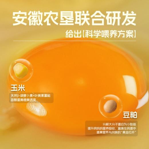 蛋鲜森 无抗谷物鲜鸡蛋30枚礼盒装1200g 商品图1
