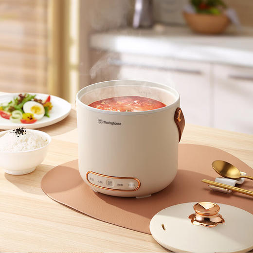 西屋Westinghouse-多功能电饭煲WFB01 商品图4