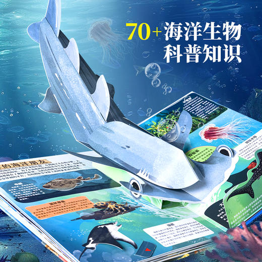 【青葫芦】那么大！立体书：海洋 3-8岁 儿童3d立体书 商品图3