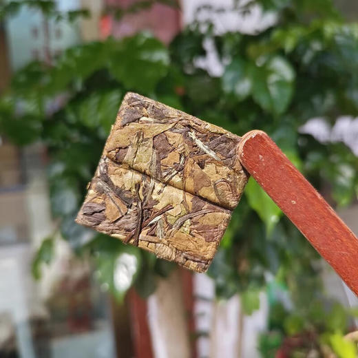 素言茶坊 满满气韵156g.WN 商品图6