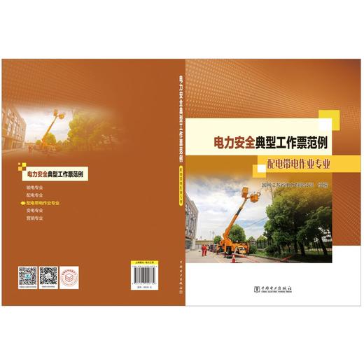 电力安全典型工作票范例  配电带电作业专业 商品图2
