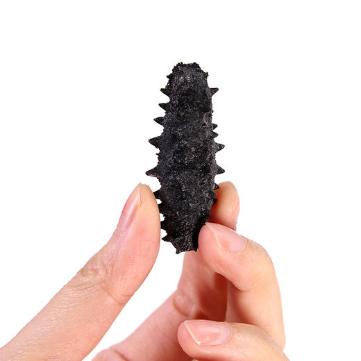 星龙港大连淡干海参一级品十全十美系列礼盒*100g 商品图3