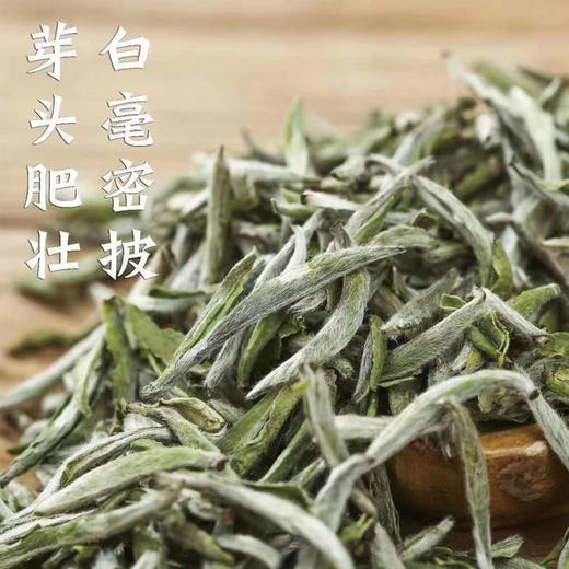素言茶坊 龙腾四海 只等春风来100g.WN 商品图4