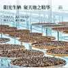 卢正浩熟普柑茶大厂勐海特级熟普新会核心小青柑生晒柑普茶罐装 商品缩略图2