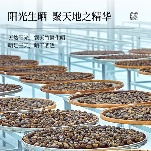卢正浩熟普柑茶大厂勐海特级熟普新会核心小青柑生晒柑普茶罐装 商品图2