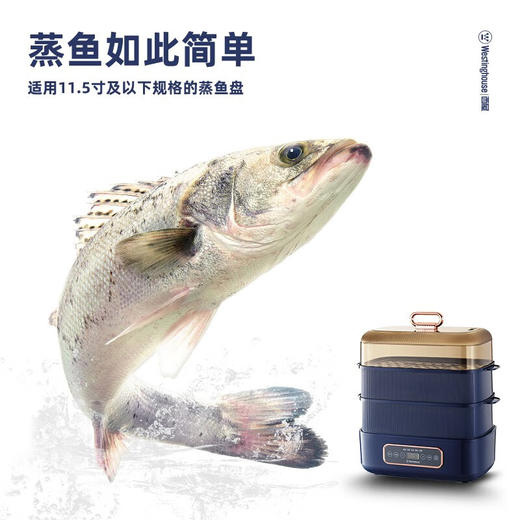 西屋Westinghouse-电蒸锅WZL121 商品图1