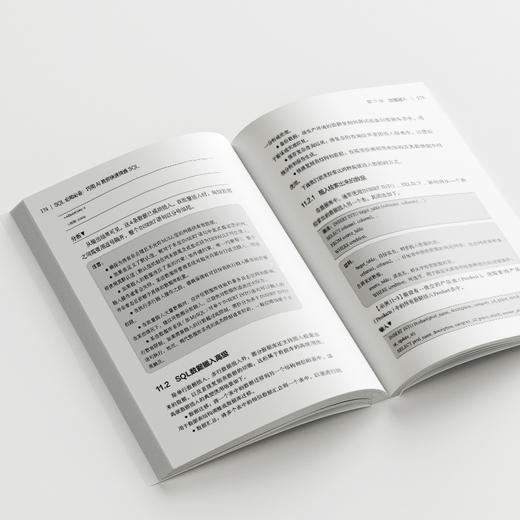 SQL必知必会：巧用AI教你快速精通SQL 康高堂 编著 北京大学出版社 商品图4