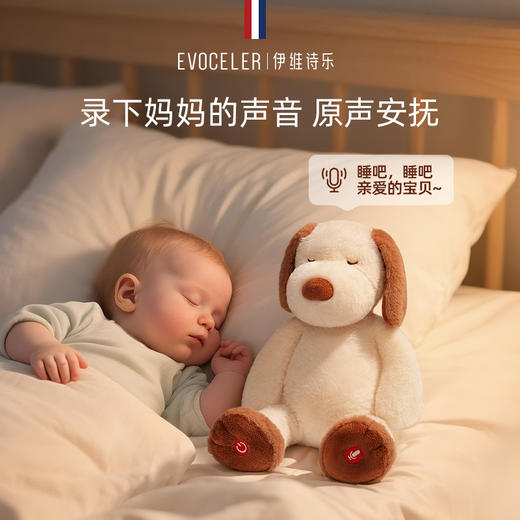 伊维诗乐电动玩偶 商品图4