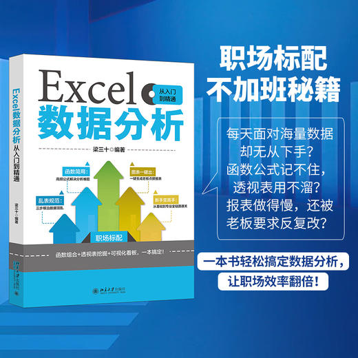 Excel数据分析从入门到精通 梁三十 编著 北京大学出版社 商品图1