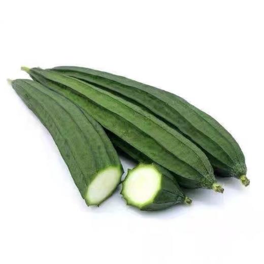 丝瓜  500g 商品图0