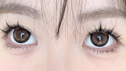 Kaylens半年抛·甜果茶/圆萌熊·14.5mm超大着色 商品图4