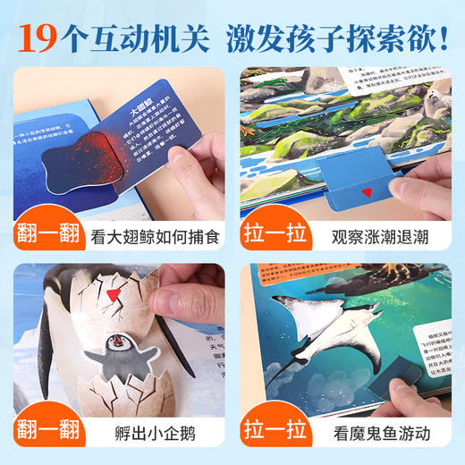 【青葫芦】那么大！立体书：海洋 3-8岁 儿童3d立体书 商品图4