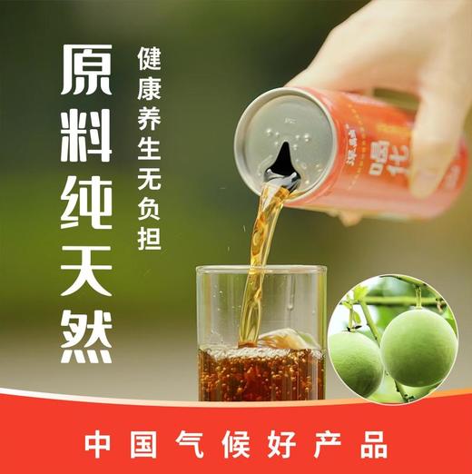 深融 化橘红桑叶茶无糖植物饮料310ml*12罐 商品图2