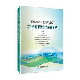 面向新型电力系统的新能源供给消纳技术