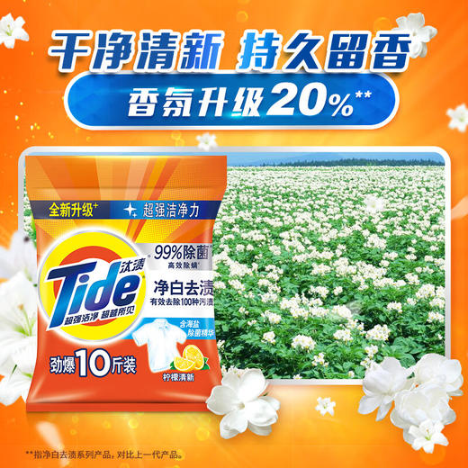 【ZY25】汰渍洗衣粉净白去渍10斤 商品图0