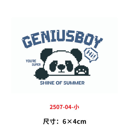 白墨烫画贴小熊猫天才宝贝印花贴新款DIY热转印熨斗烫图2025 商品图1